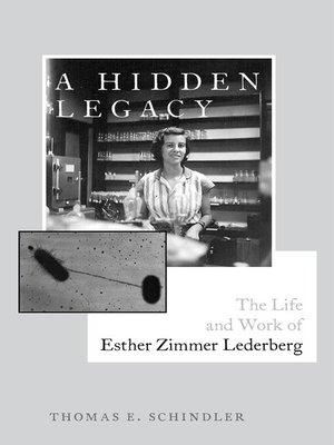 cover image of A Hidden Legacy